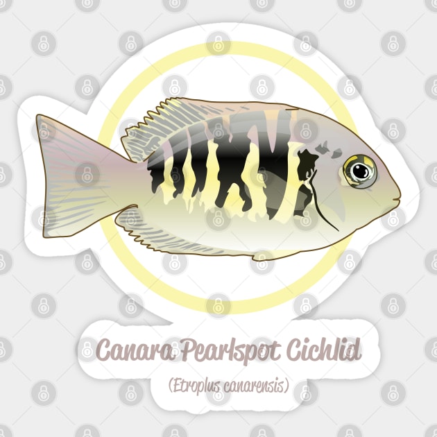 Canara Pearlspot Cichlid Sticker by Reefhorse